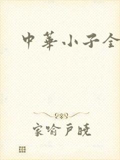 中华小子全集