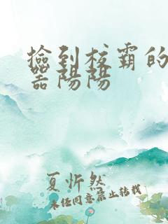 捡到校霸的遥控器阳阳