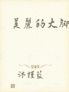 美丽的大脚下载