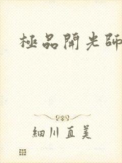 极品开光师阅读