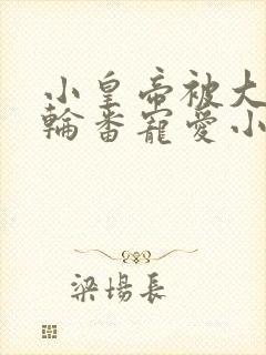 小皇帝被大臣们轮番宠爱小说