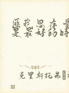 匪我思存 爱你是最好的时光
