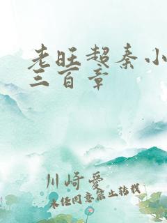 老旺超秦小雨第三百章