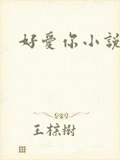 好爱你小说