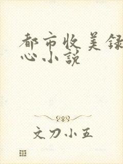 都市收美录宁素心小说