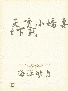 天价小娇妻txt下载