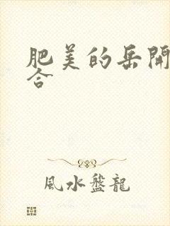 肥美的岳开始配合