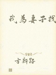 我为妻子找男妓