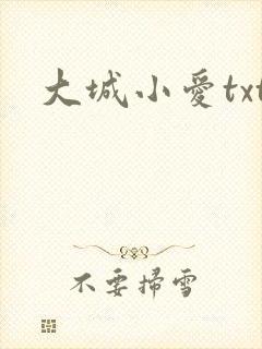 大城小爱txt
