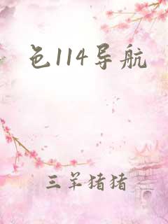色114导航