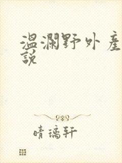 温澜野外产子小说