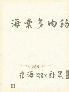 海棠多肉的文笔