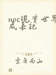 npc现实世界成长记