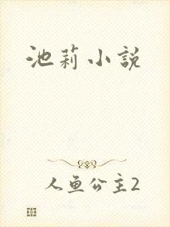 池莉小说