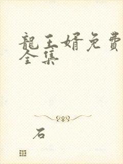 龙王婿免费完结全集