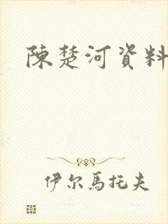 陈楚河资料
