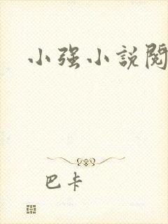 小强小说阅读网
