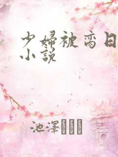 少妇被脔日常h小说