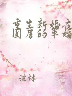 重生新婚夜正在圆房的军婚小说