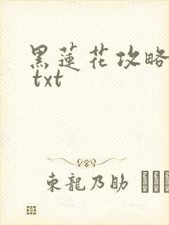 黑莲花攻略手册 txt