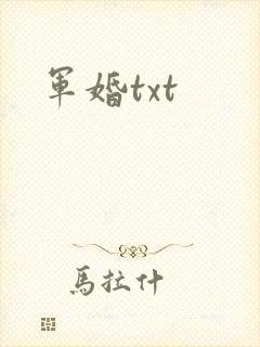 军婚txt