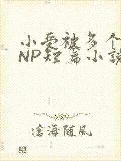 小受被多个攻强NP短篇小说