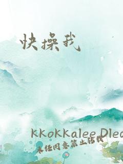 快操我