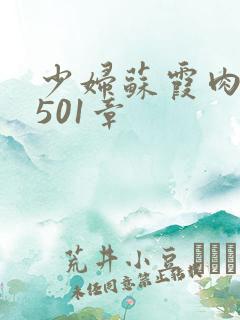 少妇苏霞肉欲第501章