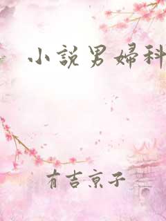 小说男妇科医生