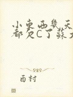 小东西几天没做都欠C了苏大深