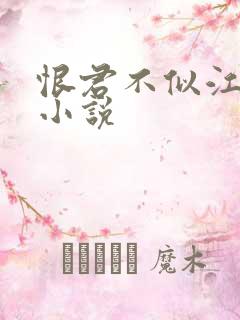 恨君不似江楼月小说