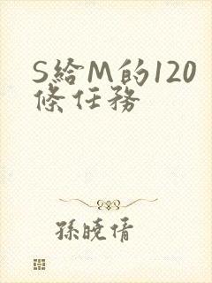 S给M的120条任务