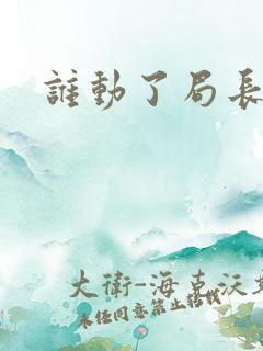 谁动了局长夫人