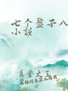 七个盘子八个碗小说
