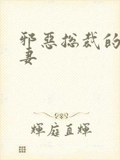 邪恶总裁的娇宠妻