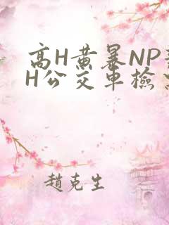 高H黄暴NP辣H公交车检票员