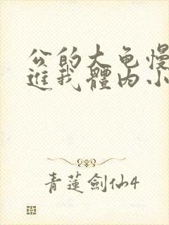 公的大龟慢慢挺进我体内小说