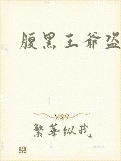 腹黑王爷盗墓妃