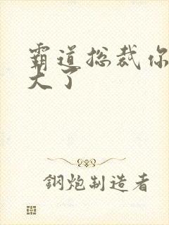 霸道总裁你的太大了