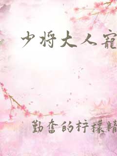 少将大人宠宠我