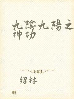 九阴九阳之阴阳神功