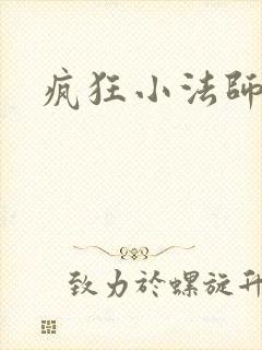 疯狂小法师