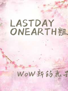LASTDAYONEARTH粗暴