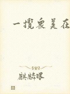 一揽众美在三国