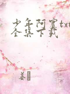 少年阿宾txt全集下载