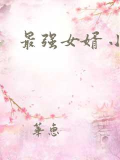最强女婿 小说