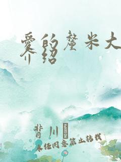 爱的厘米大结局介绍