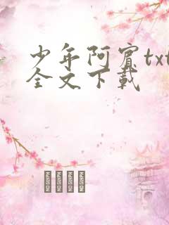 少年阿宾txt全文下载