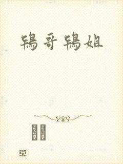 鸨哥鸨姐