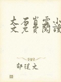 大石肖雪小说全文免费阅读